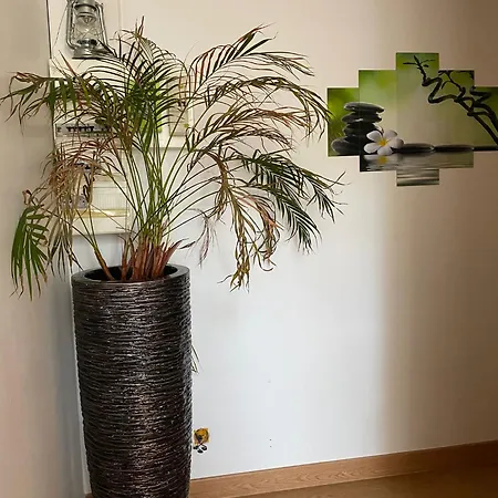 Appartement Suite Romantique DRØM avec Spa Privatif et Climatisation Socourt