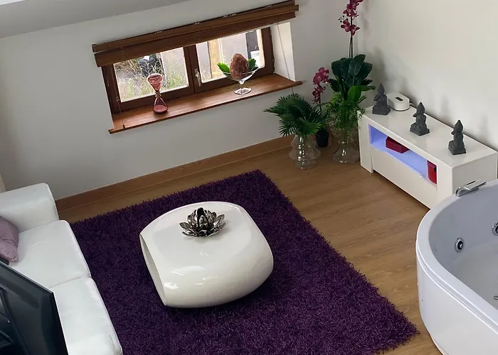 Apartmán My Avec Balneo Privative & Deco Romantique By Boookingfute Socourt