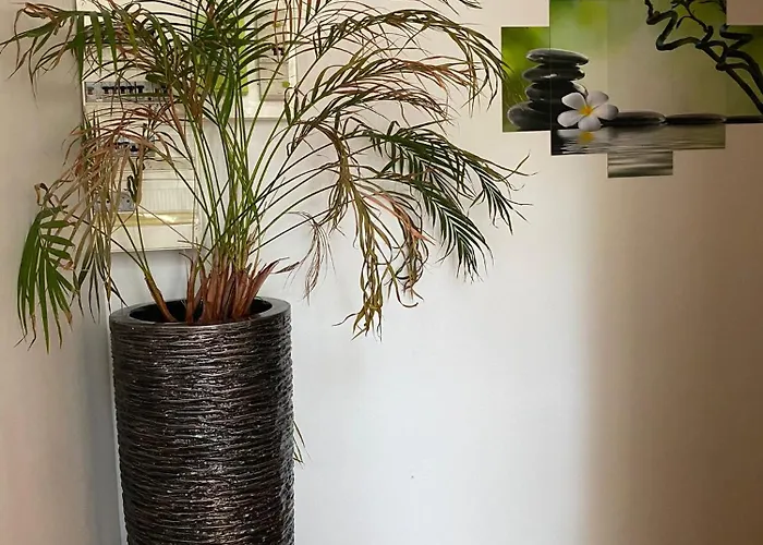 Apartmán My Avec Balneo Privative & Deco Romantique By Boookingfute Socourt